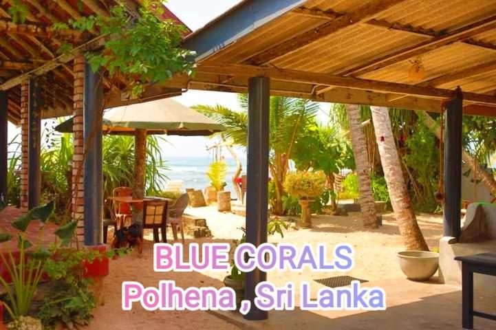 Blue Corals Beach Bungalow Matara Dış mekan fotoğraf