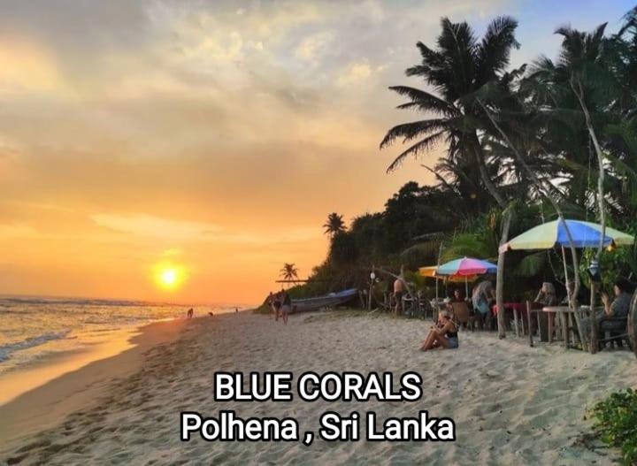 Blue Corals Beach Bungalow Matara Dış mekan fotoğraf