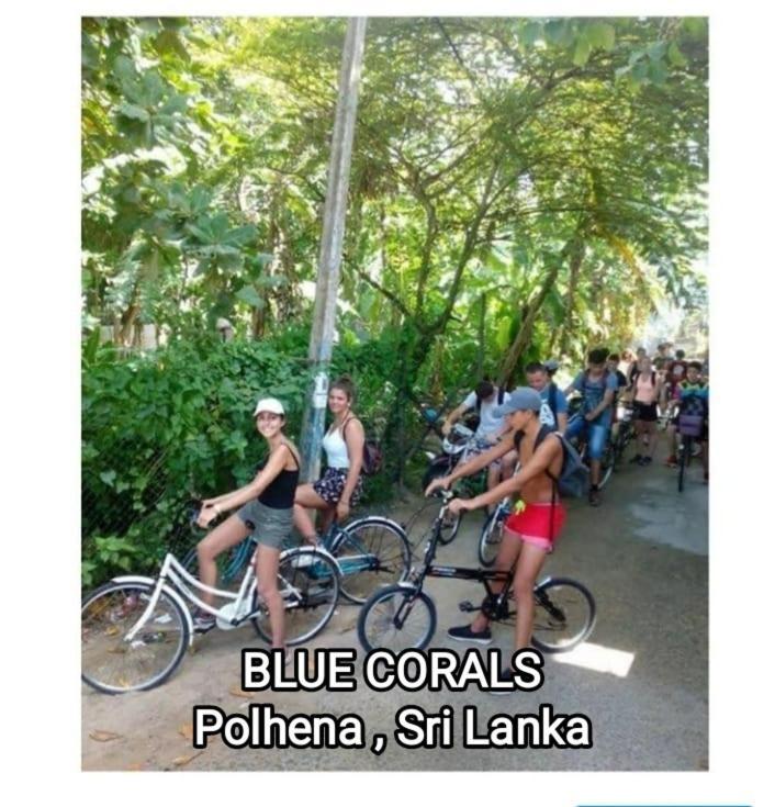 Blue Corals Beach Bungalow Matara Dış mekan fotoğraf