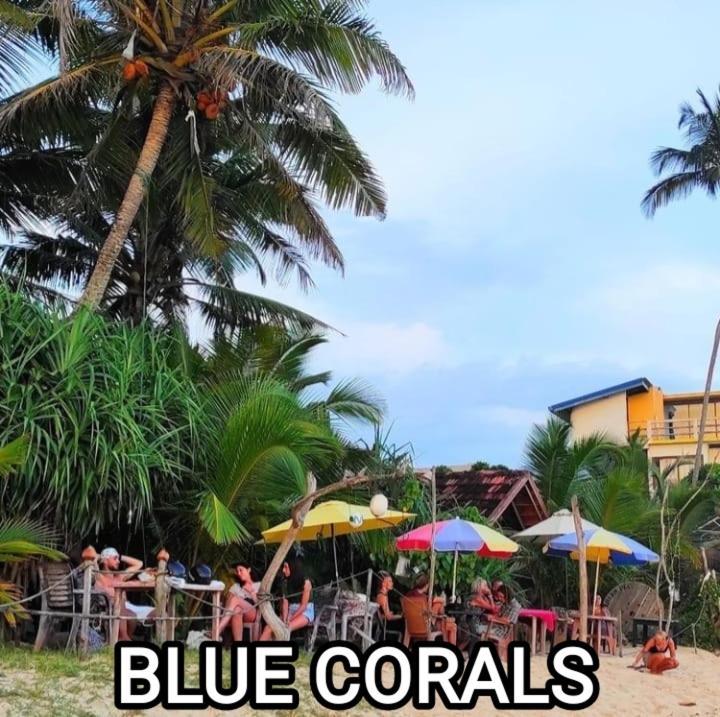 Blue Corals Beach Bungalow Matara Dış mekan fotoğraf