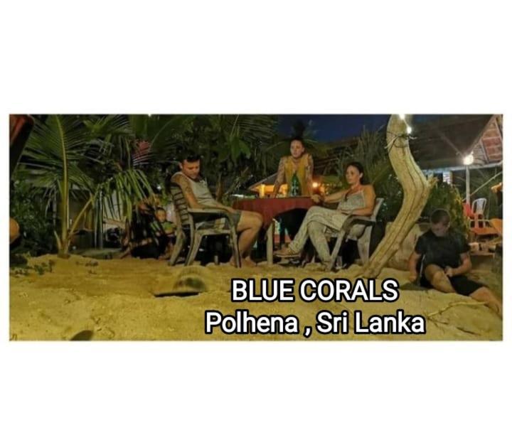 Blue Corals Beach Bungalow Matara Dış mekan fotoğraf