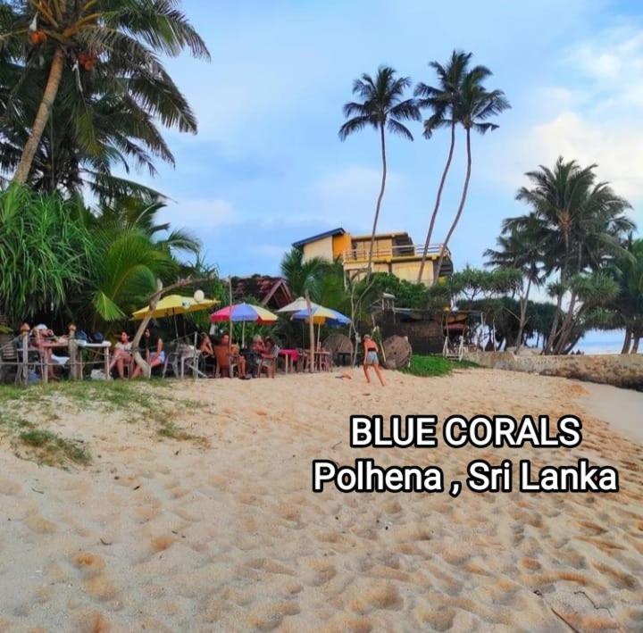 Blue Corals Beach Bungalow Matara Dış mekan fotoğraf