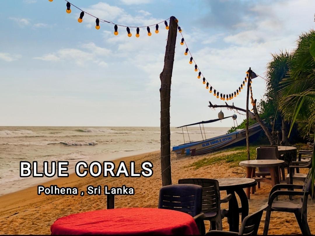 Blue Corals Beach Bungalow Matara Dış mekan fotoğraf