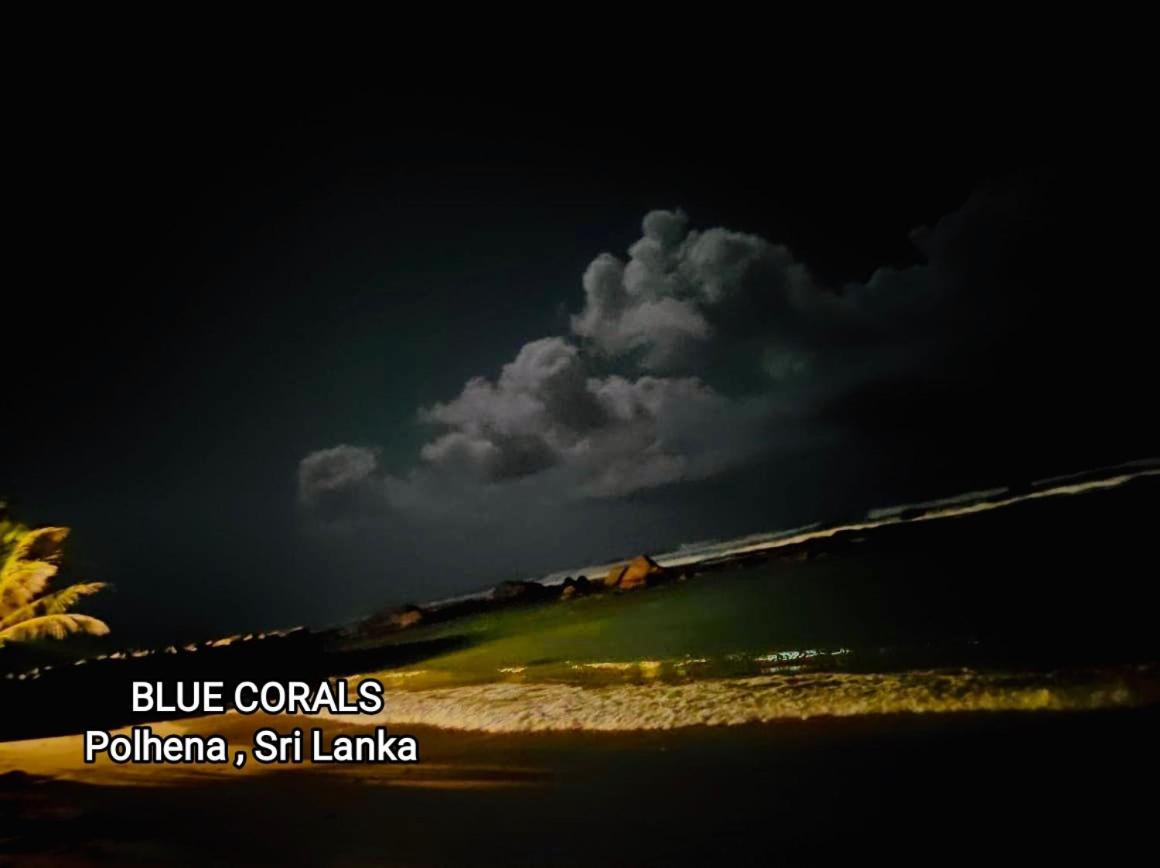 Blue Corals Beach Bungalow Matara Dış mekan fotoğraf