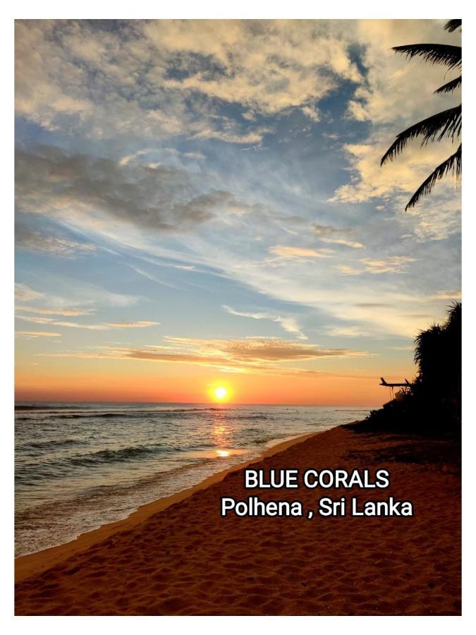 Blue Corals Beach Bungalow Matara Dış mekan fotoğraf