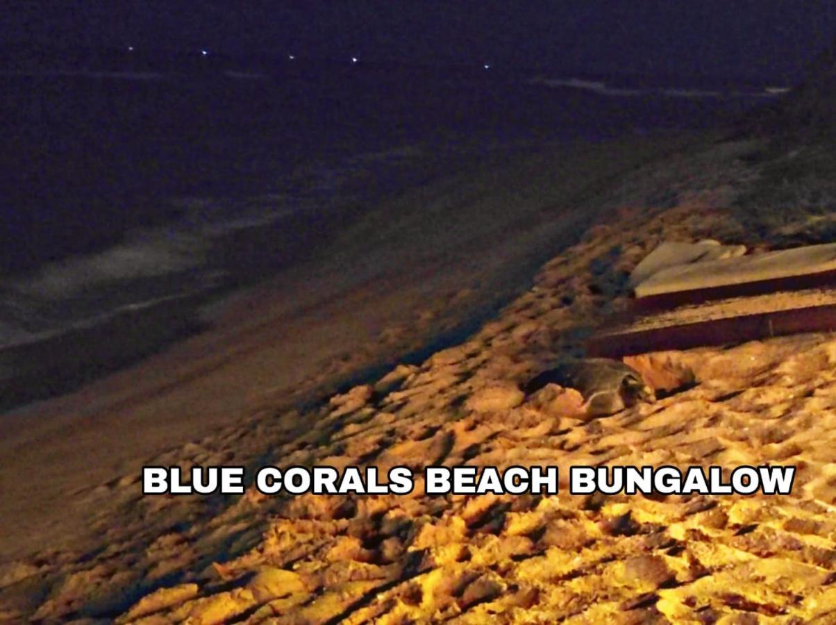 Blue Corals Beach Bungalow Matara Dış mekan fotoğraf